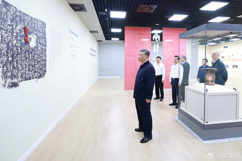 深入了解中华人民共和国商标法，保护品牌权益的法律盾牌