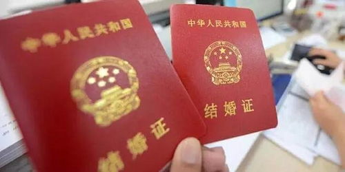 爱情证书，揭秘结婚登记查询的奥秘