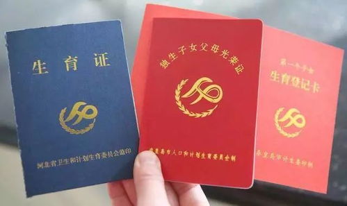 独生子女补贴，政策解读与实用指南