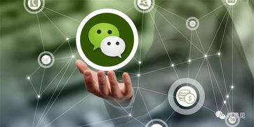 网络杀人游戏，虚拟世界的社交互动与心理影响