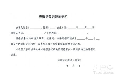 如何正确撰写和使用单身证明范本，一份详尽指南