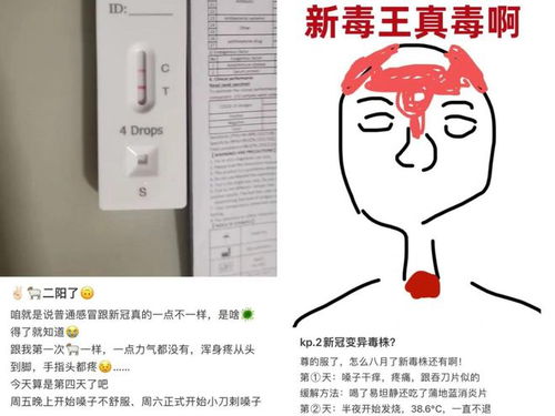 疫情警报，四省500+病例激增，我们如何应对？