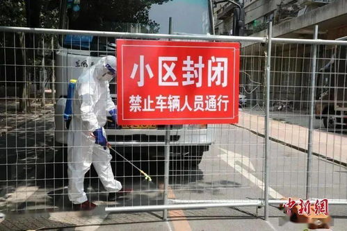 云南疫情新动态，新增3例本土确诊的应对与防控策略