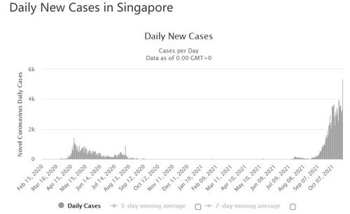 全球新冠疫情，理解死亡病例数字背后的深远影响