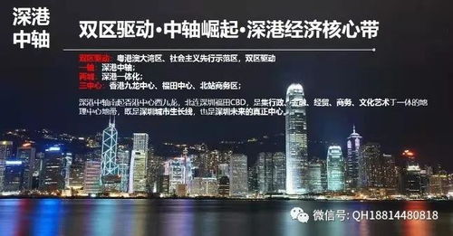 探索金融巨擘，中国国际信托投资公司如何塑造未来