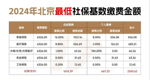 2013年社保缴费基数，保障你未来的安全网