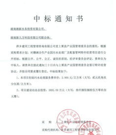 中标通知书格式，专业指南与实例