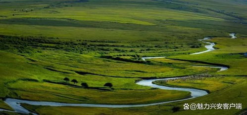 兴安盟，草原上的绿色明珠，行政公署的现代化治理