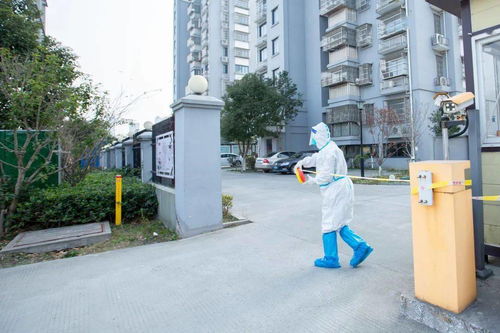 定州银都花园疫情，社区防疫的挑战与应对