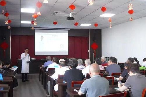 南宫市政府，社区发展的心脏，市民生活的守护者