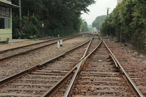 铁轨上的奇迹，修建火车道的艺术与科学