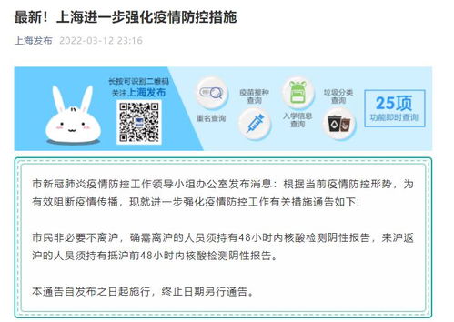 上海疫情，防控策略与生活影响