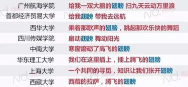全面解析，车损险计算的奥秘与实用指南