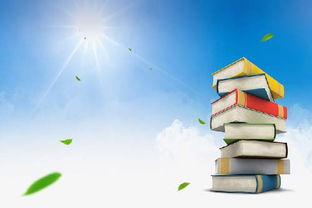 深入了解工商行政管理，职能、挑战与未来趋势