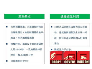 突发事件，理解、应对与预防