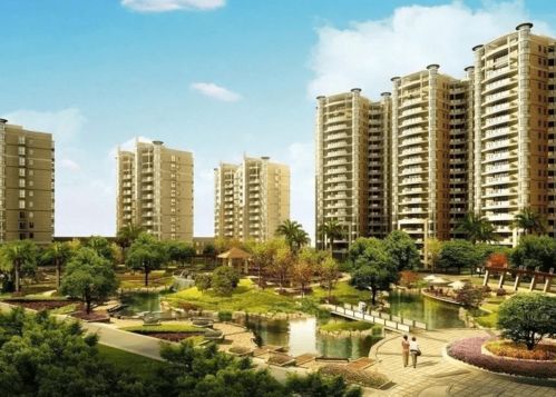 板芙镇租房指南，探索宜居之地，打造理想生活空间