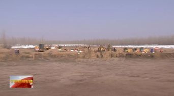 中卫林区污染事件，真相、影响与反思