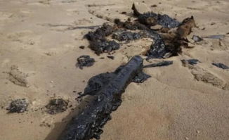 中卫林区污染事件，真相、影响与反思