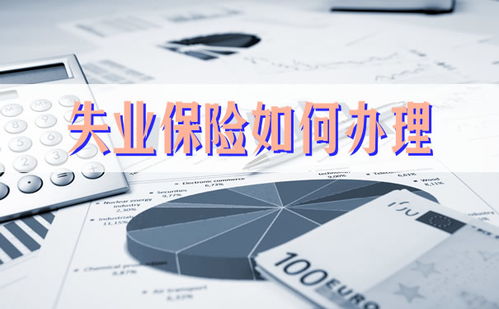 石家庄养老保险，保障未来，从了解政策开始