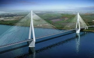 社会团体会费，连接个体与集体的桥梁