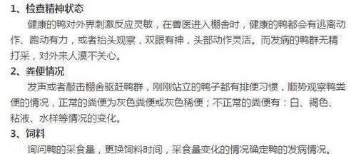 员工转正审批表，细节决定成败，如何确保公正与效率？