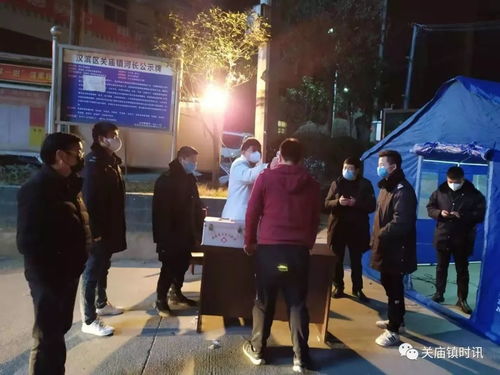 全国二阳最新情况，疫情动态与防控策略