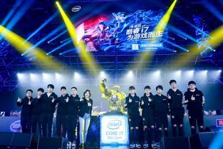 国美职场探秘，梦想与挑战并存的奇妙旅程