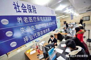 东莞社会养老保险，保障体系的完善与挑战