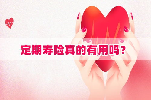 守护家人的未来，定期寿险保险的温馨守护