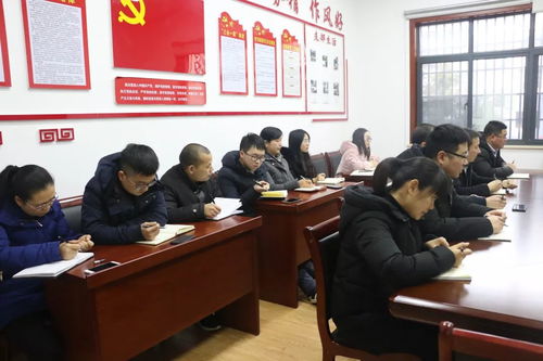 新森林法的实施，绿色发展的新篇章