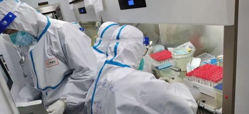 告别核酸检测，中央新指示带来的生活变革