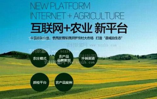 农村环保问题，挑战与机遇并存