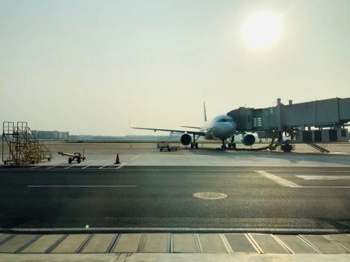 国航一航班32人阳性，了解新冠病毒传播与航空旅行安全