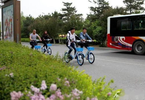 石家庄限号，绿色出行的新风尚