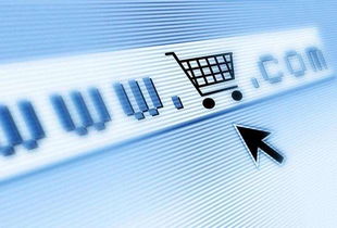 探索企业经营模式，创新与适应的桥梁