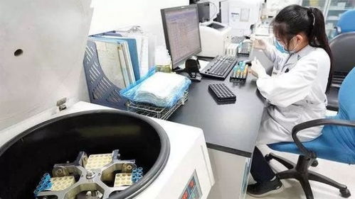 湖北疫情新动态，新增病例分析与防控措施解读