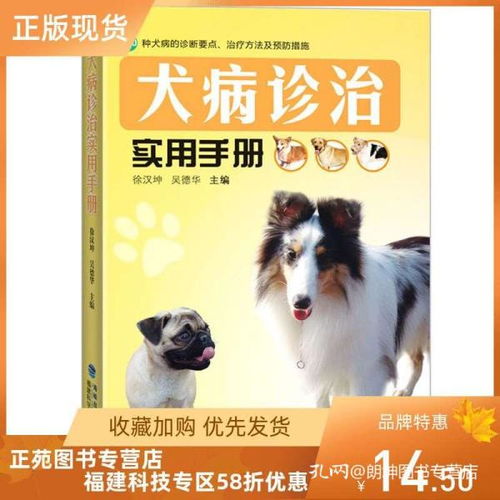 宠物医疗知识全攻略，预防、诊断与治疗