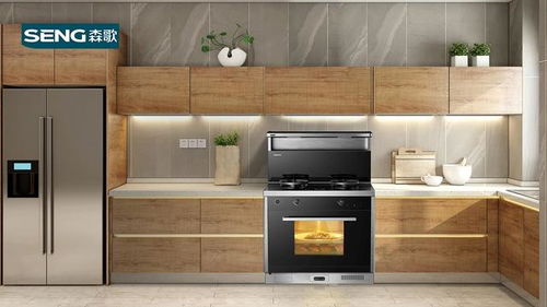 开启新生活的钥匙，入户申请书的奥秘与指南