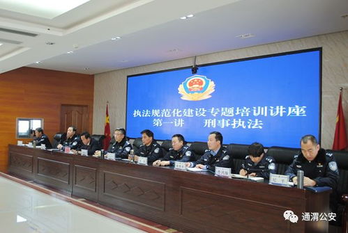 公安执法规范化建设，构建法治社会的坚实基石