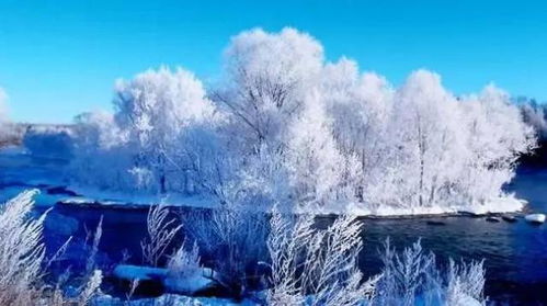 南京雪中彩影，探索金陵雪景之美