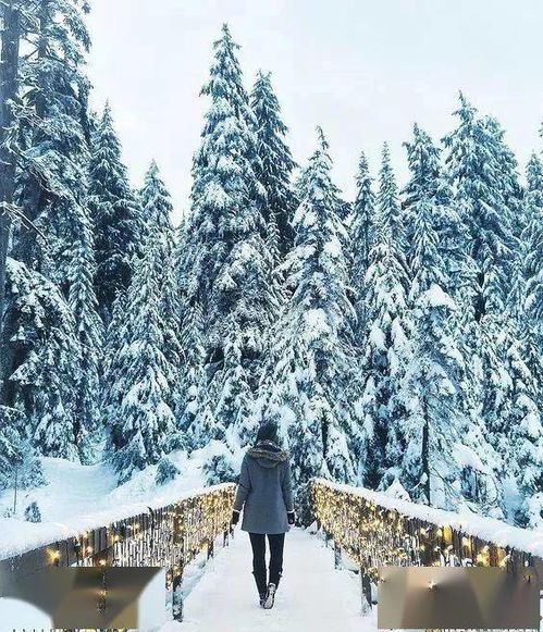 南京雪中彩影，探索金陵雪景之美