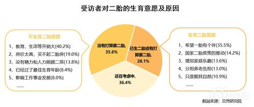 广西单独二胎政策，家庭规划与社会影响的深度解析