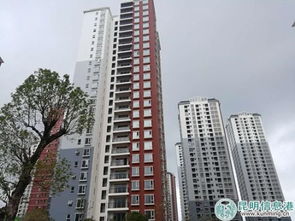 大渡口公租房，城市发展的新篇章，居民安居的温馨港湾