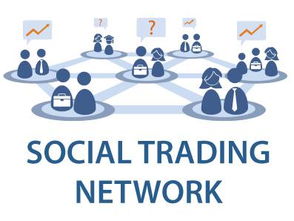 外汇交易的社交网络，深入了解外汇QQ群的作用与影响