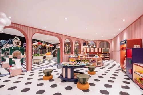 如何开宠物美容店，打造宠物时尚新天地