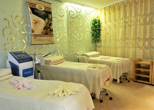 如何开宠物美容店，打造宠物时尚新天地