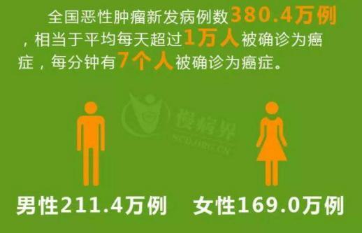 深入了解国家基本医疗保险药品目录，保障健康，惠及民生