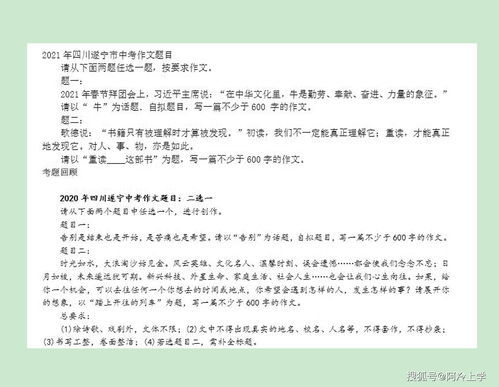 如何撰写一份出色的申请报告