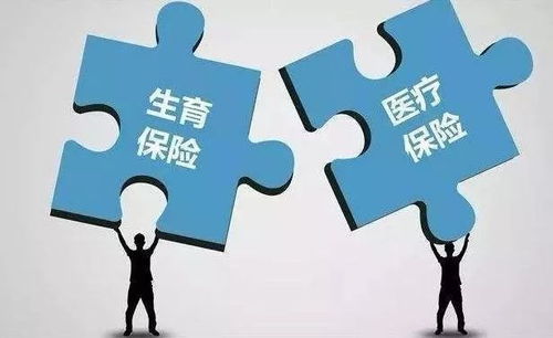 生育保险与医保合并，政策变革下的挑战与机遇