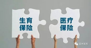 生育保险与医保合并，政策变革下的挑战与机遇